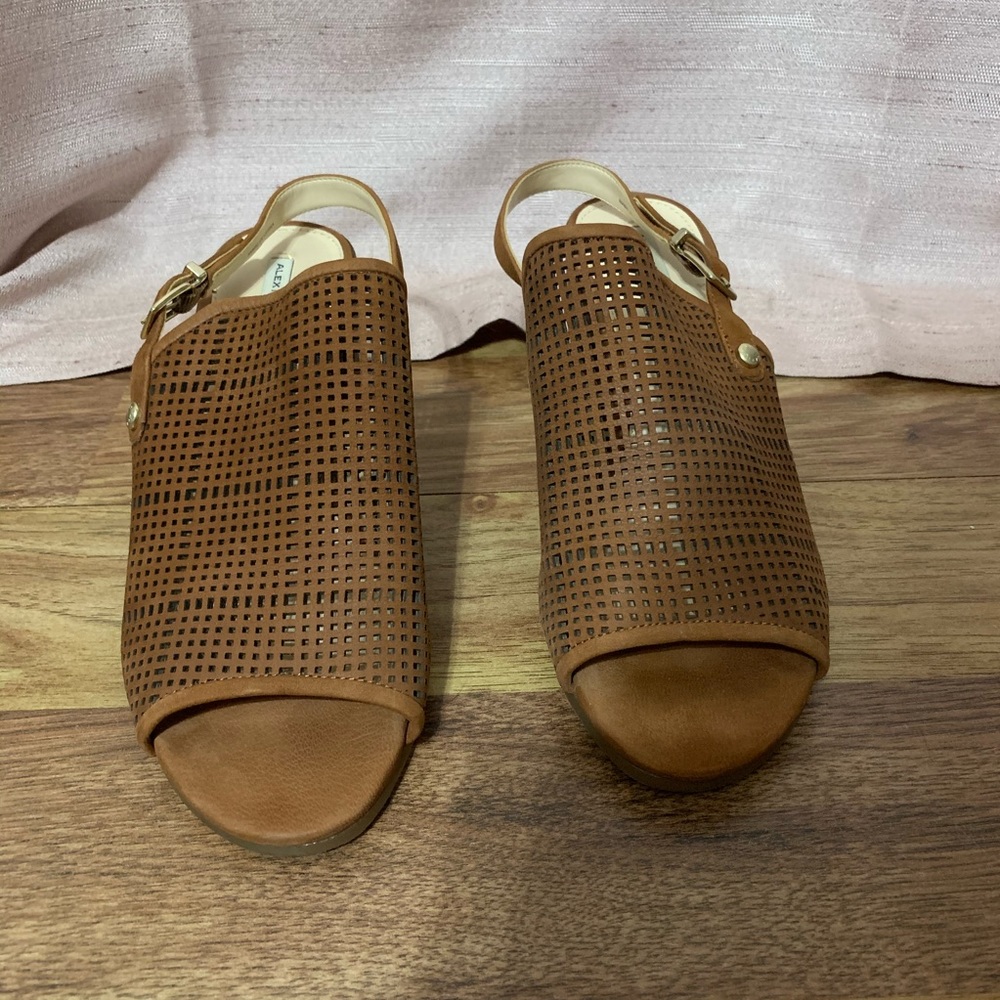 Alex Marie Brown open toe booties